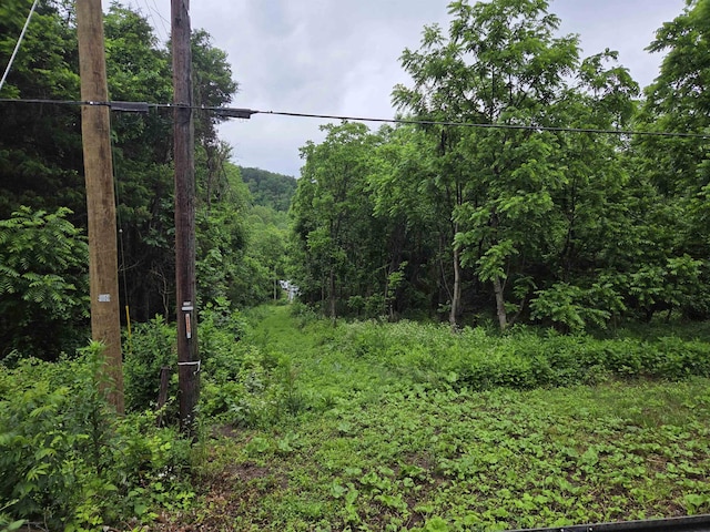 900 Sandy Bottom Rd, Elkton, VA 22827