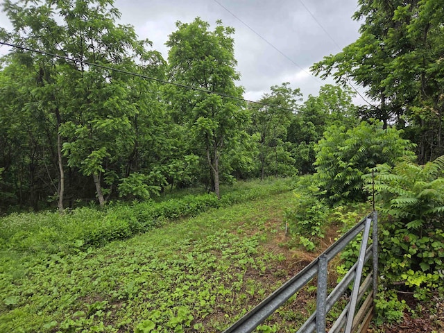900 Sandy Bottom Rd, Elkton, VA 22827