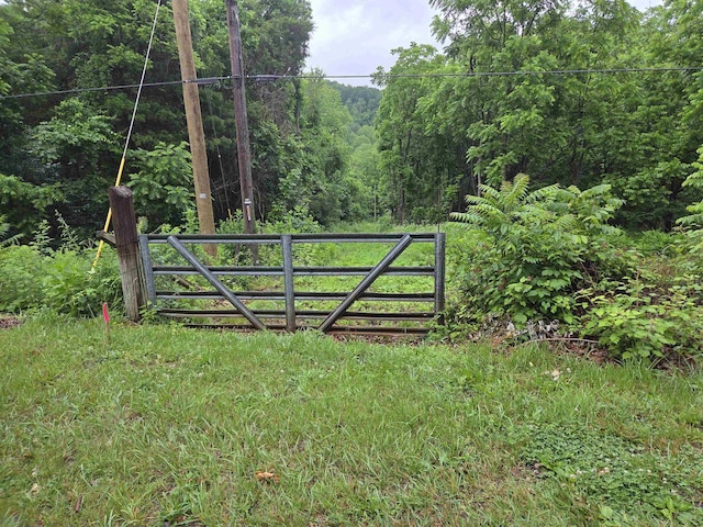 900 Sandy Bottom Rd, Elkton, VA 22827