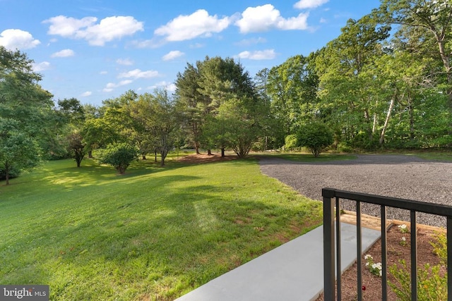13179 Scotts Mill Rd, Culpeper, VA 22701 - view of green lawn with view of wooded area