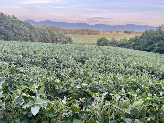 TBD Doe Hill Rd, Port Republic, VA 24471