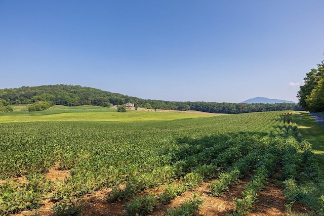 TBD Doe Hill Rd, Port Republic, VA 24471