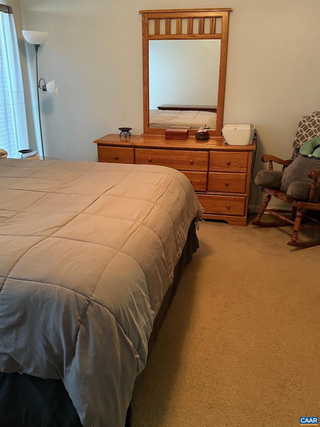 327 Rolkin Rd, Charlottesville, VA 22911 - photo 8