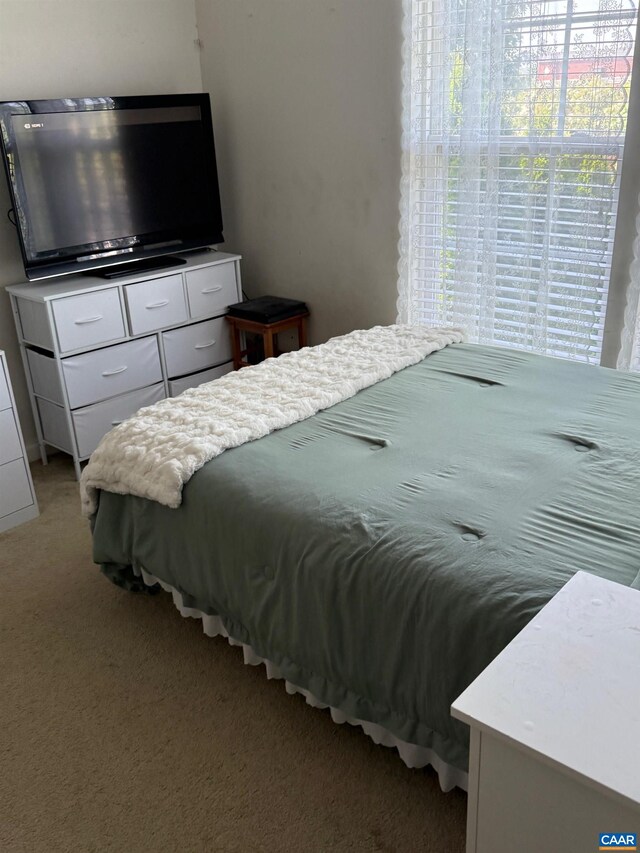 327 Rolkin Rd, Charlottesville, VA 22911 - photo 10