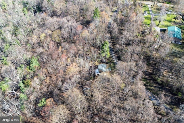 536 Circle Dr, Stanley, VA 22851 - photo 38