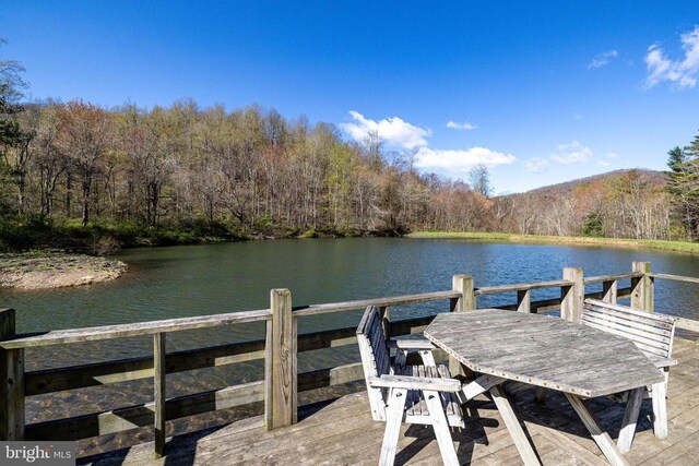 536 Circle Dr, Stanley, VA 22851 - photo 52