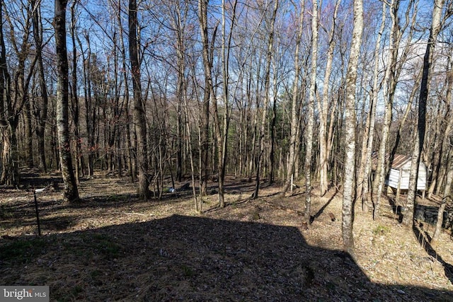 536 Circle Dr, Stanley, VA 22851 - photo 26