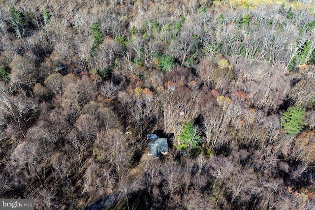 536 Circle Dr, Stanley, VA 22851 - photo 37