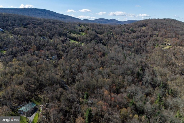 536 Circle Dr, Stanley, VA 22851 - photo 45