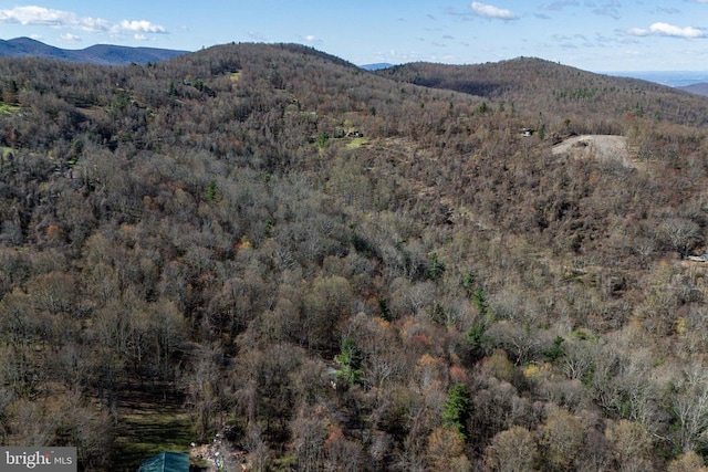 536 Circle Dr, Stanley, VA 22851 - photo 47