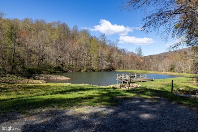 536 Circle Dr, Stanley, VA 22851 - photo 50