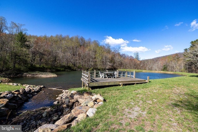 536 Circle Dr, Stanley, VA 22851 - photo 51
