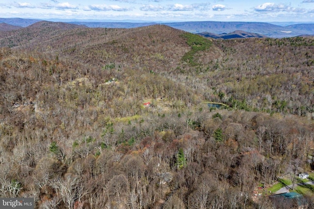 536 Circle Dr, Stanley, VA 22851 - photo 41