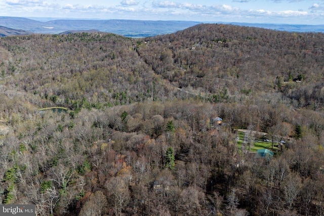 536 Circle Dr, Stanley, VA 22851 - photo 42