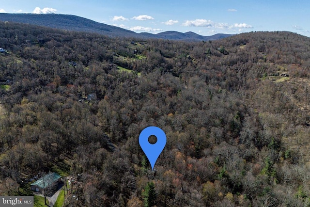536 Circle Dr, Stanley, VA 22851 - photo 46