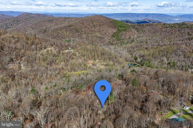 536 Circle Dr, Stanley, VA 22851 - photo 40