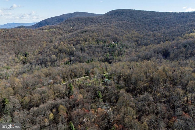 536 Circle Dr, Stanley, VA 22851 - photo 43