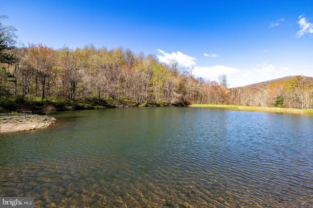 536 Circle Dr, Stanley, VA 22851 - photo 53