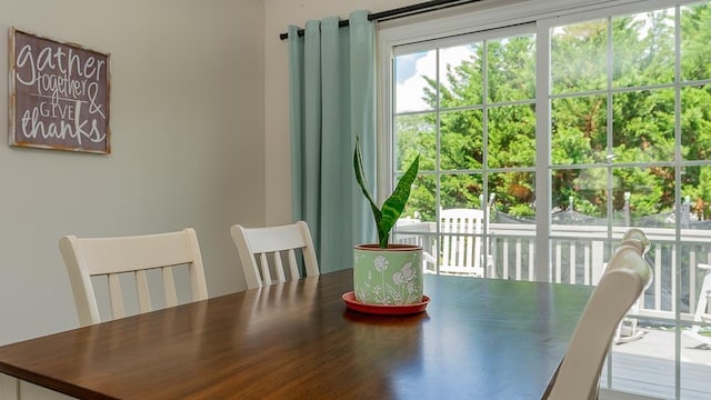 405 River Rd N Unit A, Bridgewater, VA 22812 - photo 11