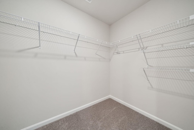 12 George William Ln, Lexington, VA 24450 - photo 23