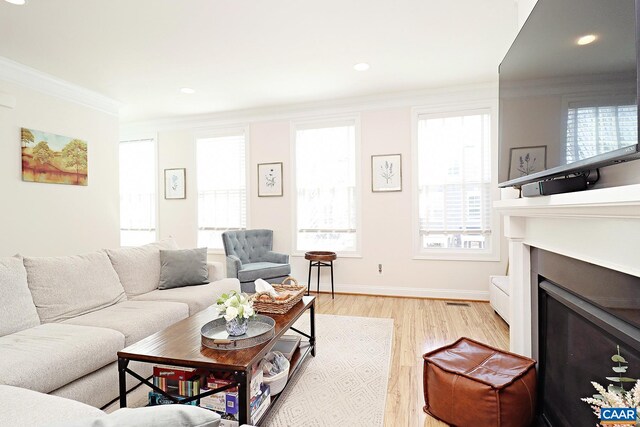 living area with light wood finished floors, a healthy amount of sunlight, ornamental molding, and a glass covered fireplace