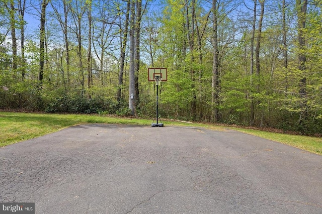 279 Carriage Ln, Madison, VA 22727 - view of sport court with a view of trees