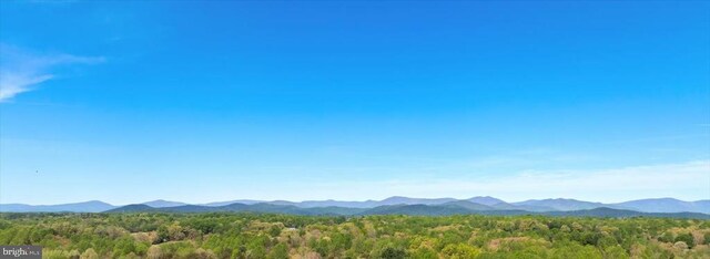 279 Carriage Ln, Madison, VA 22727 - mountain view with a forest