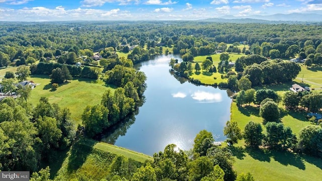 279 Carriage Ln, Madison, VA 22727 - drone / aerial view of a nearby body of water and a forest