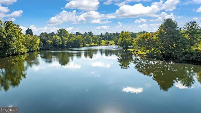 279 Carriage Ln, Madison, VA 22727 - water view with a heavily wooded area