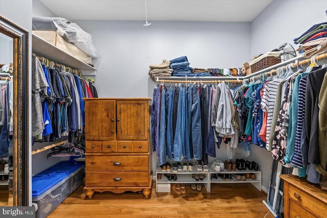 279 Carriage Ln, Madison, VA 22727 - walk in closet with wood finished floors