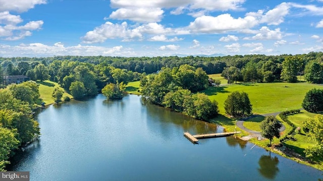 279 Carriage Ln, Madison, VA 22727 - aerial view of a nearby body of water and a forest