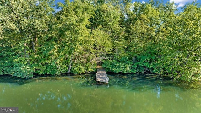 279 Carriage Ln, Madison, VA 22727 - water view