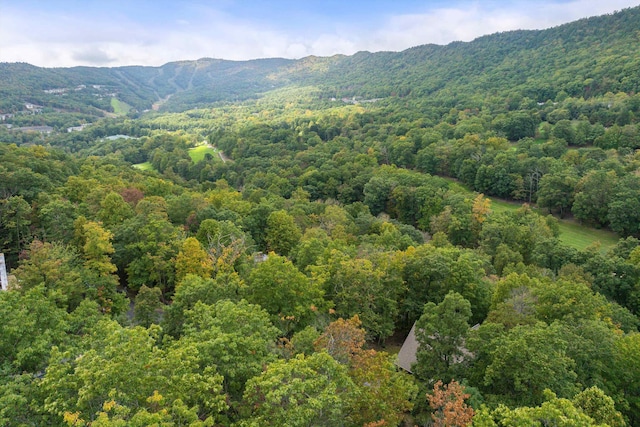 aerial view featuring a mountain view