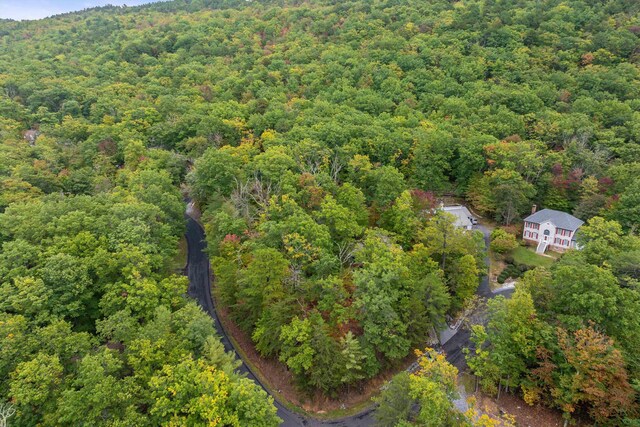 bird's eye view