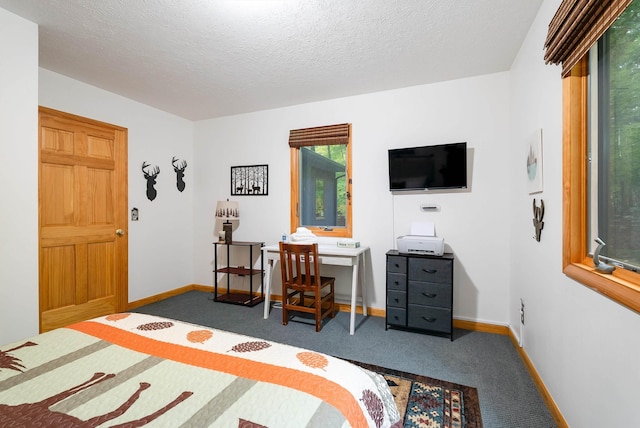 carpeted bedroom with a textured ceiling