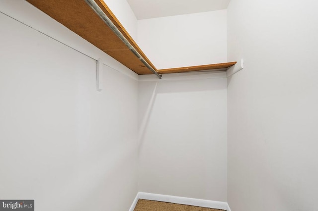 5143 Cottonwood Ct, Fredericksburg, VA 22407 - walk in closet featuring carpet