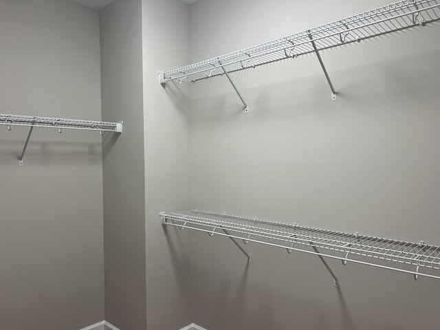 79 Meriwether Cir, Stuarts Draft, VA 24477 - view of spacious closet