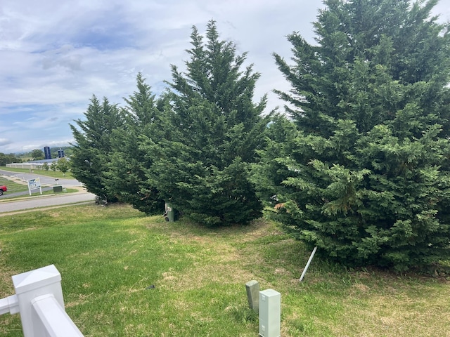 79 Meriwether Cir, Stuarts Draft, VA 24477 - view of green lawn