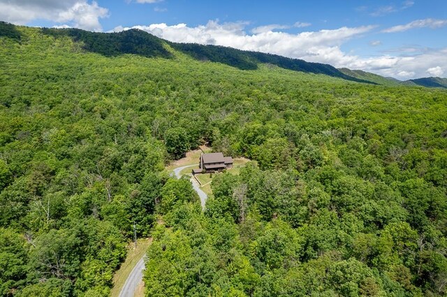 2461 Resort Dr, Mcgaheysville, VA 22840 - photo 74