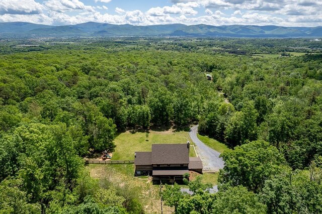 2461 Resort Dr, Mcgaheysville, VA 22840 - photo 71