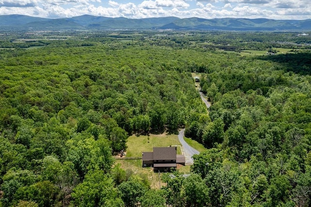 2461 Resort Dr, Mcgaheysville, VA 22840 - photo 72