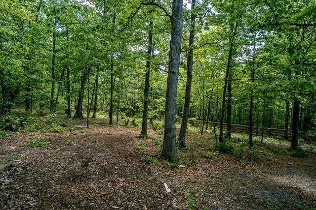 2461 Resort Dr, Mcgaheysville, VA 22840 - photo 46