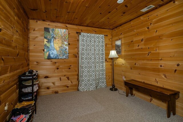 2461 Resort Dr, Mcgaheysville, VA 22840 - photo 41