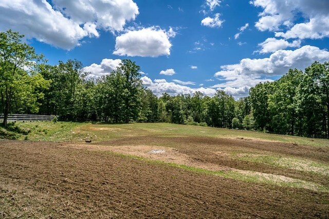 2461 Resort Dr, Mcgaheysville, VA 22840 - photo 56