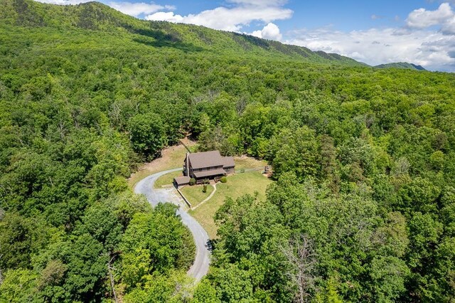 2461 Resort Dr, Mcgaheysville, VA 22840 - photo 69