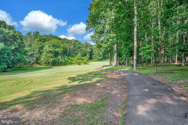 106 Tallwood Trl, Locust Grove, VA 22508 - view of community featuring a yard and a view of trees