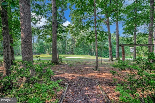 106 Tallwood Trl, Locust Grove, VA 22508 - view of green lawn