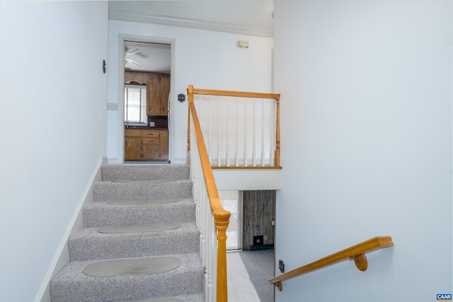 stairs with ornamental molding and baseboards