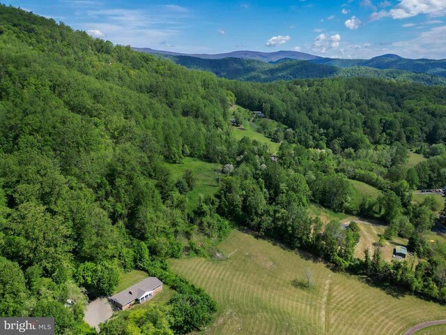 29 Antique Ln, Sperryville, VA 22740 - photo 12