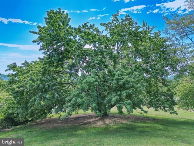 29 Antique Ln, Sperryville, VA 22740 - photo 37